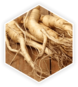 prostavive ingredients – panax ginseng for prostate health support
